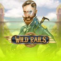 Wild Rails game icon